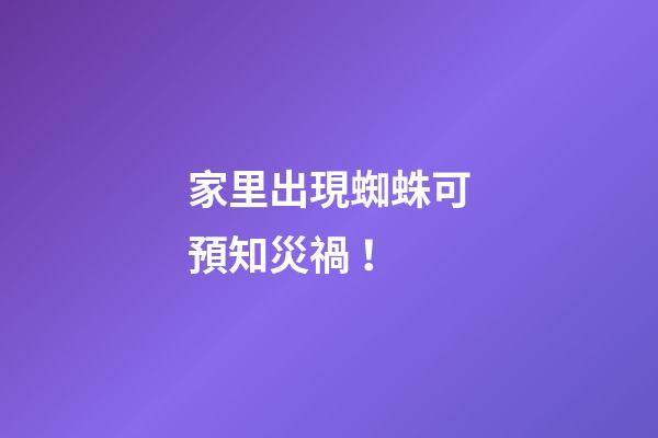 家里出現蜘蛛可預知災禍！